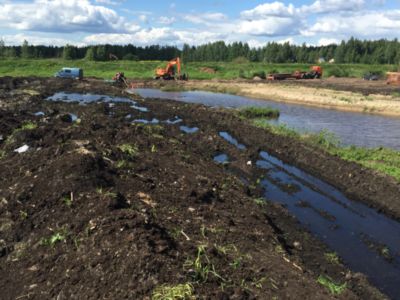 Купить торф Краснозаводск